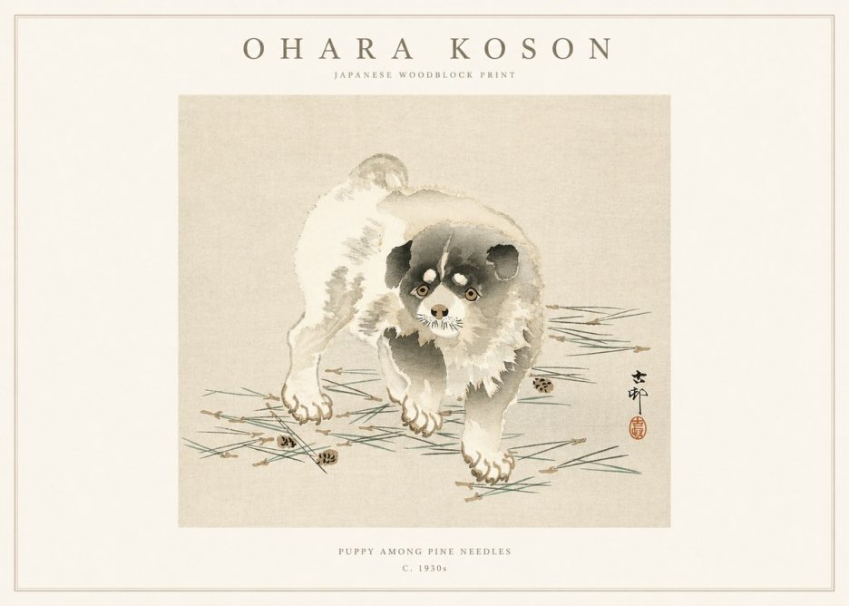 Ohara Koson Puppy Among Pine Needles No1 - Póster