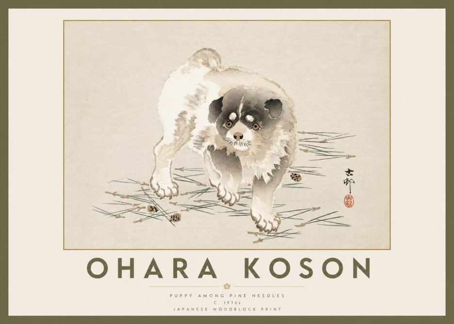 Ohara Koson Puppy Among Pine Needles No2 - Póster