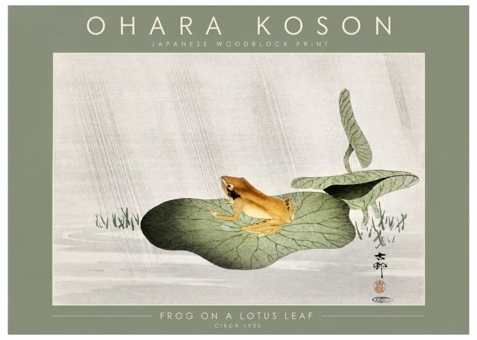 Ohara Koson Frog on a Lotus Leaf No2 - Póster