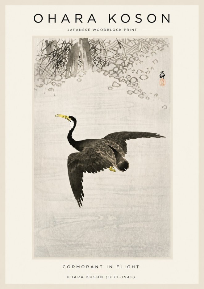 Ohara Koson Cormorant in Flight No3 - Póster