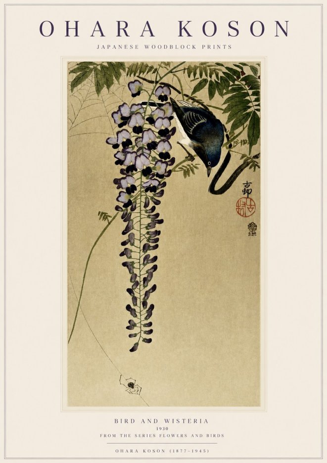 Ohara Koson Bird and Wisteria No3 - Póster