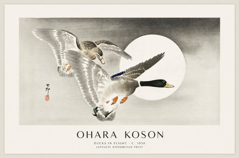 Ohara Koson Ducks in Flight No1 - Póster