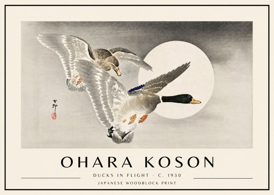 Ohara Koson Ducks in Flight No4 - Póster
