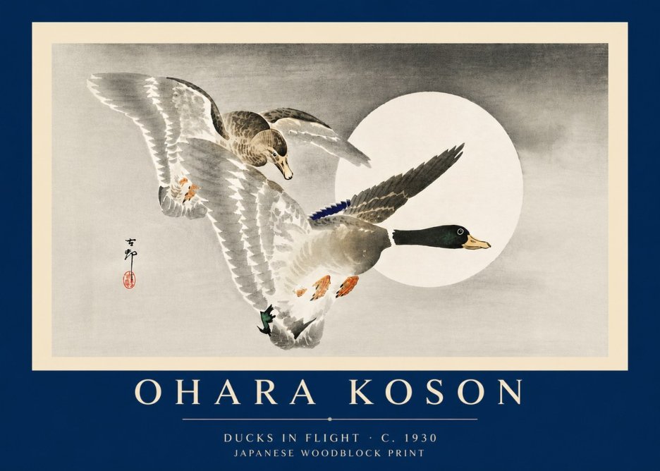 Ohara Koson Ducks in Flight No6 - Póster