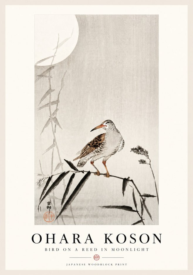 Ohara Koson Bird on a Reed in Moonlight No4 - Póster