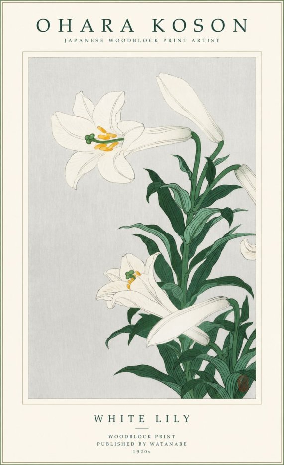 Ohara Koson White Lily No1 - Póster