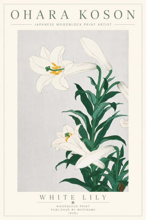 Ohara Koson White Lily No6 - Póster