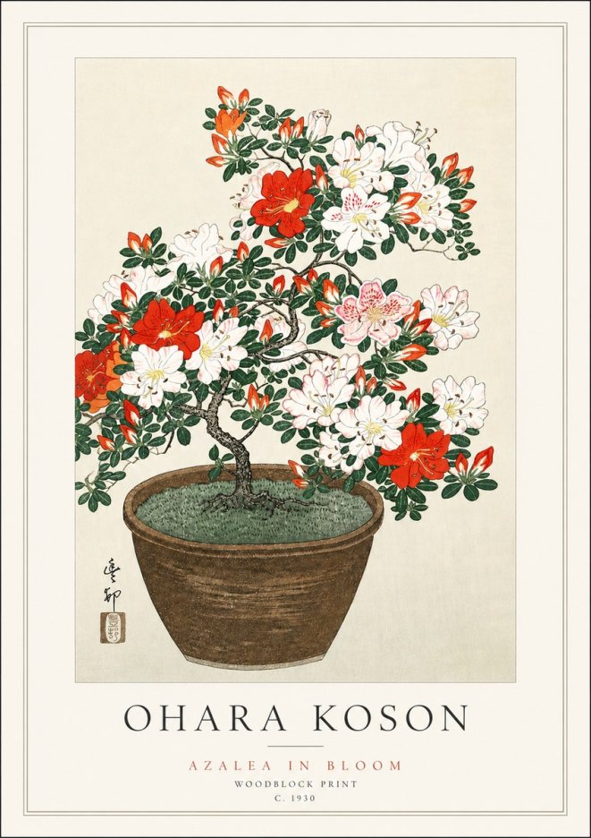 Ohara Koson Azalea in Bloom No3 - Póster