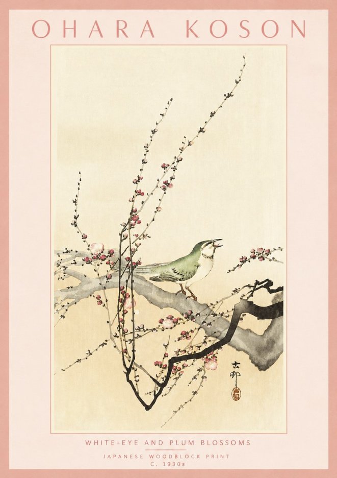 Ohara Koson White-eye and Plum Blossoms No3 - Póster