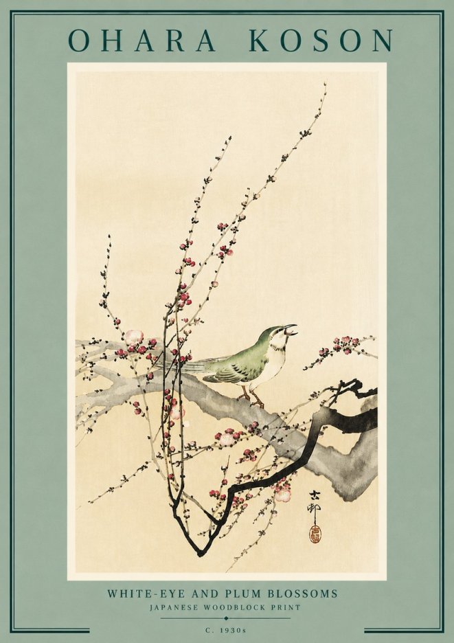 Ohara Koson White-eye and Plum Blossoms No6 - Póster