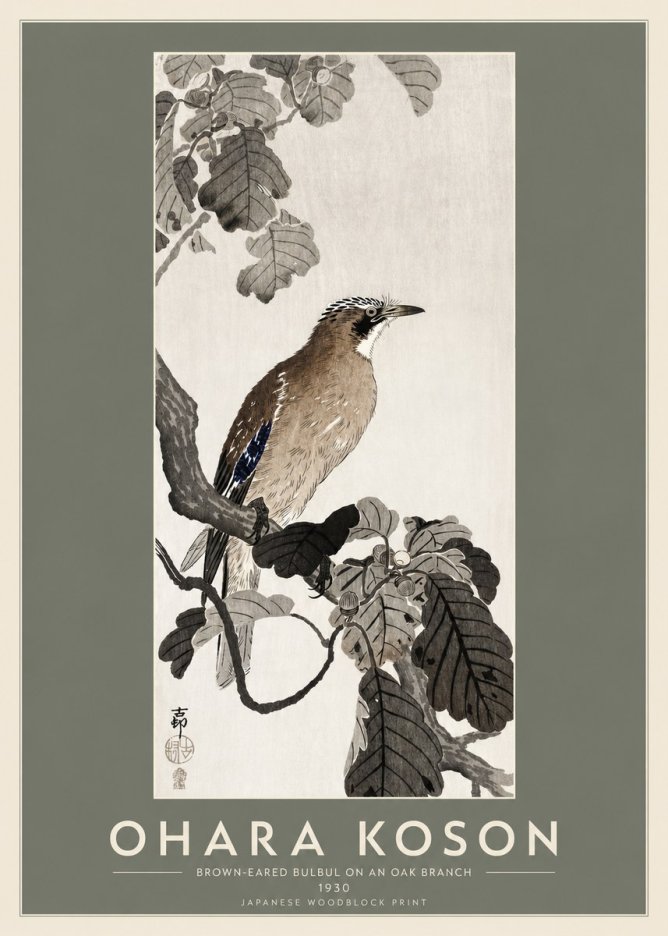 Ohara Koson Brown-eared Bulbul on an Oak Branch No2 - Póster