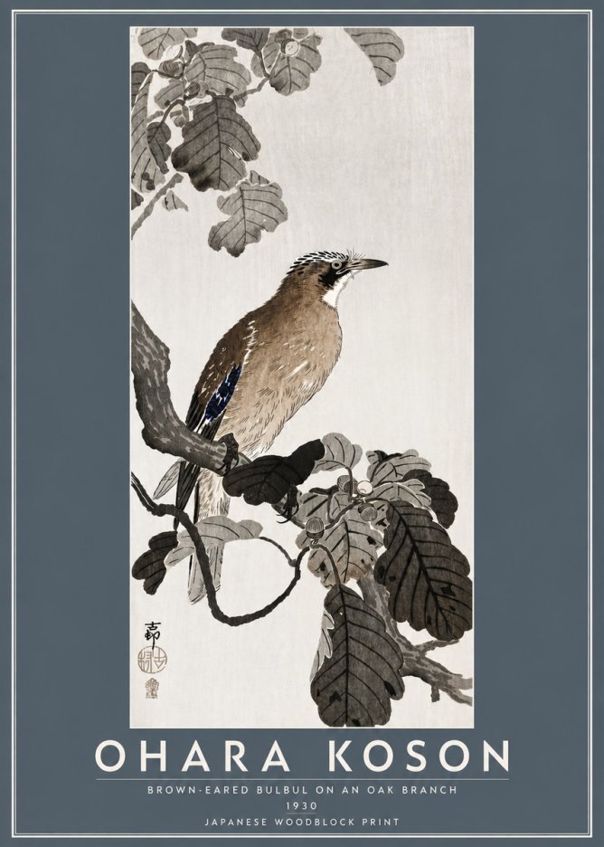 Ohara Koson Brown-eared Bulbul on an Oak Branch No5 - Póster