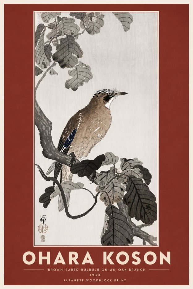 Ohara Koson Brown-eared Bulbul on an Oak Branch No6 - Póster