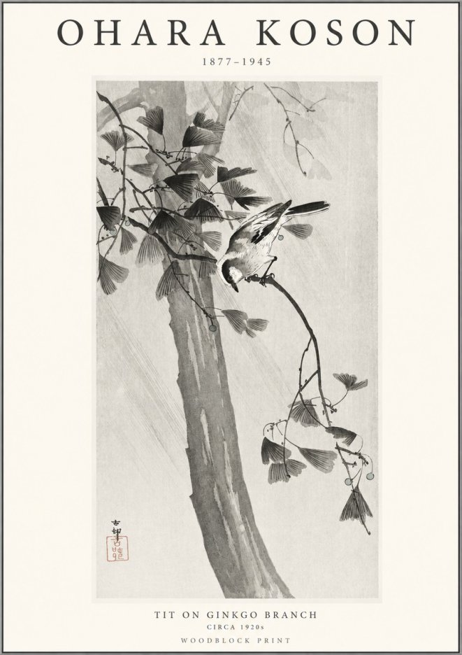 Ohara Koson Tit on Ginkgo Branch No1 - Póster