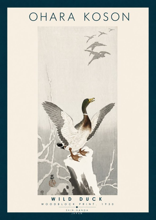 Ohara Koson Wild Duck No6 - Póster