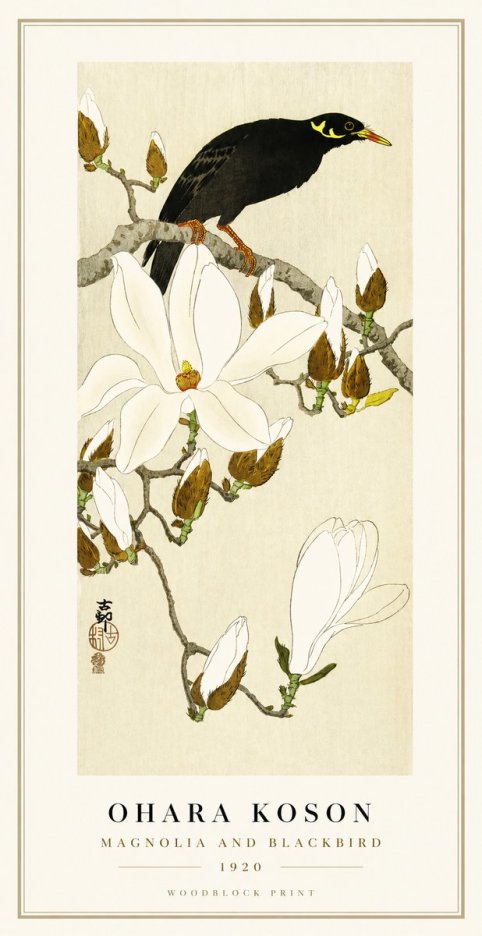 Ohara Koson Magnolia and Blackbird No1 - Póster