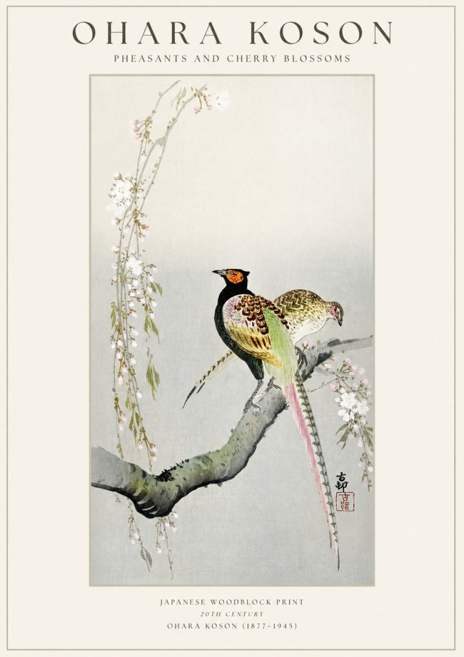 Ohara Koson Pheasants and Cherry Blossoms II No1 - Póster