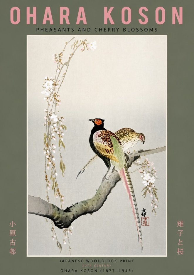 Ohara Koson Pheasants and Cherry Blossoms II No6 - Póster