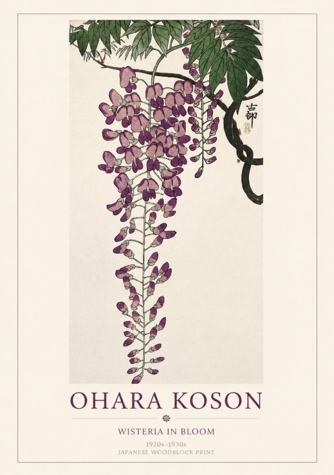Ohara Koson Wisteria in Bloom No1 - Póster