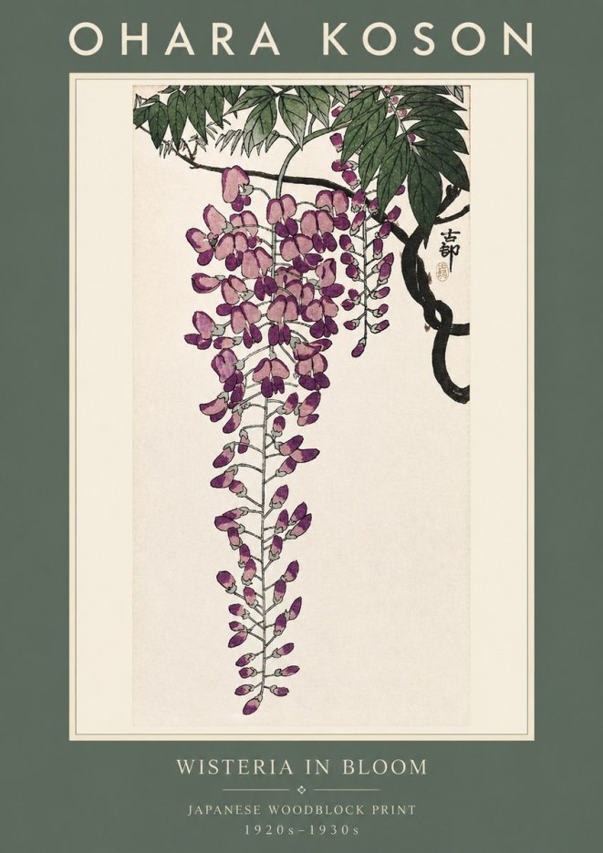 Ohara Koson Wisteria in Bloom No2 - Póster