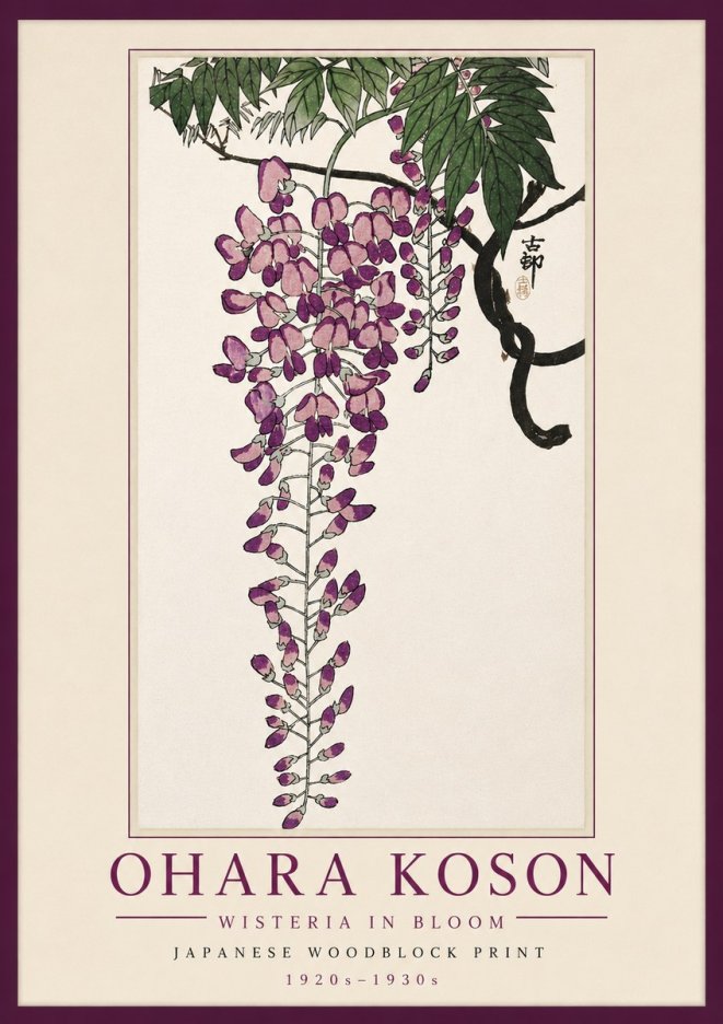 Ohara Koson Wisteria in Bloom No5 - Póster