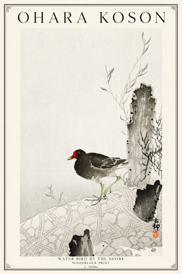Ohara Koson Water Bird by the Shore No3 - Póster