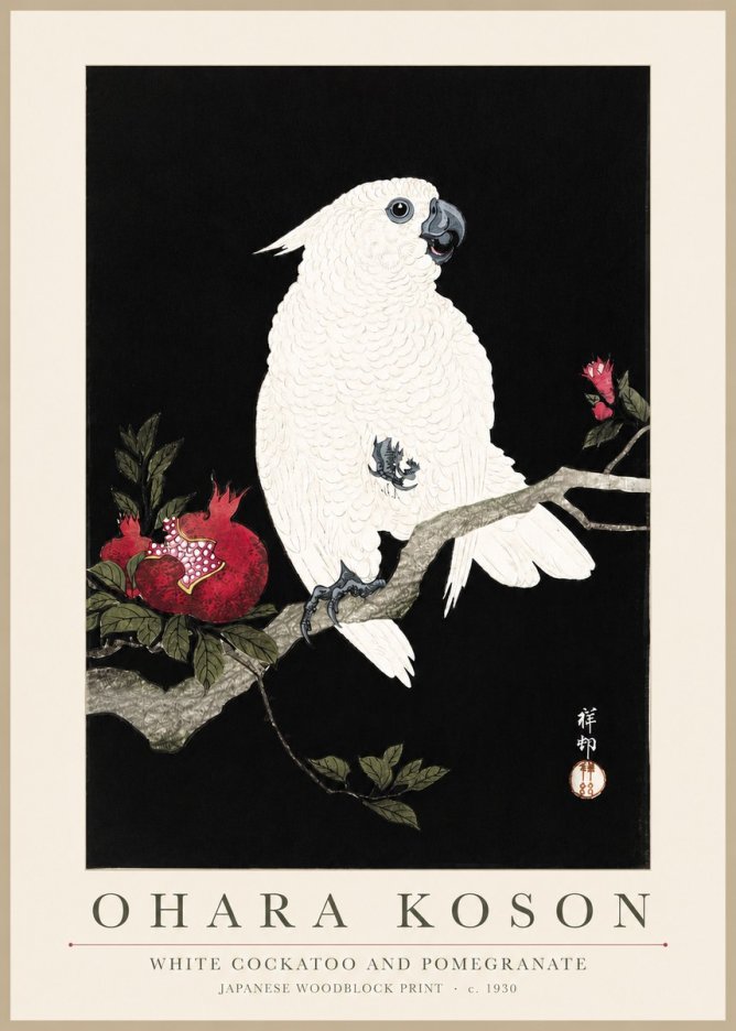 Ohara Koson White Cockatoo and Pomegranate I No3 - Póster