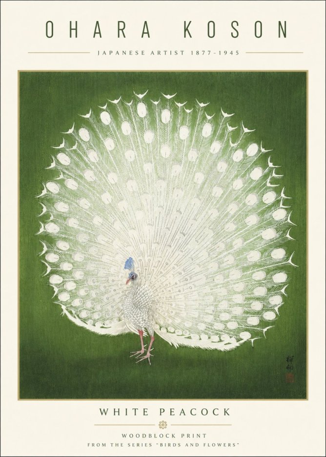 Ohara Koson White Peacock No3 - Póster