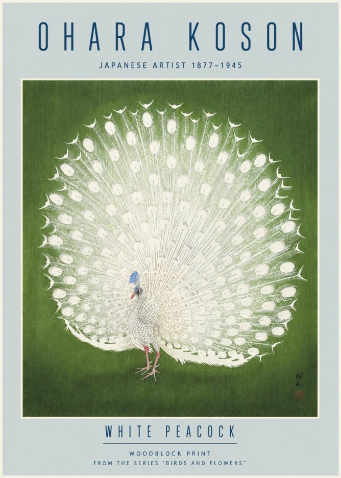 Ohara Koson White Peacock No4 - Póster