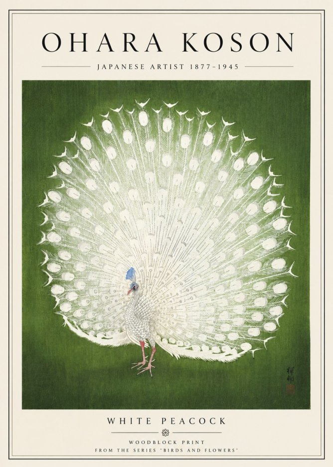 Ohara Koson White Peacock No5 - Póster