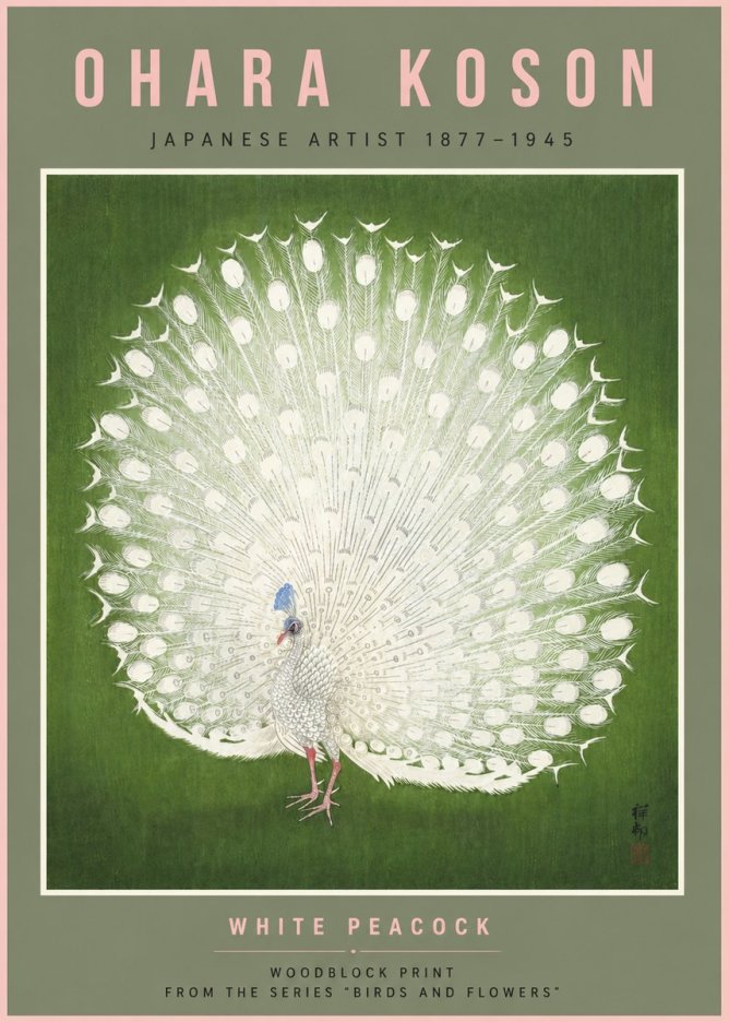 Ohara Koson White Peacock No6 - Póster