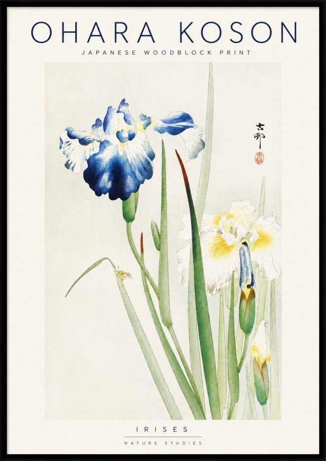 Ohara Koson Irises II No3 - Póster