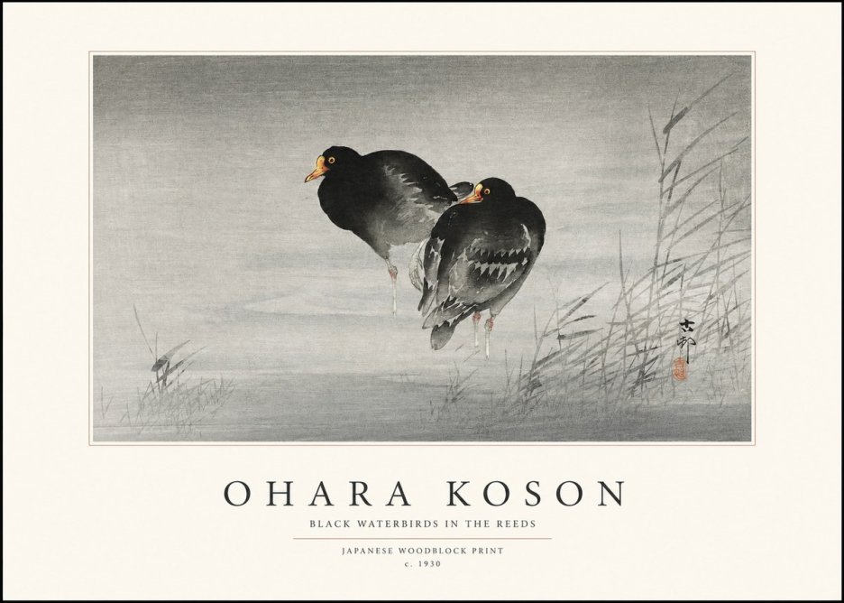 Ohara Koson Black Waterbirds in the Reeds No1 - Póster