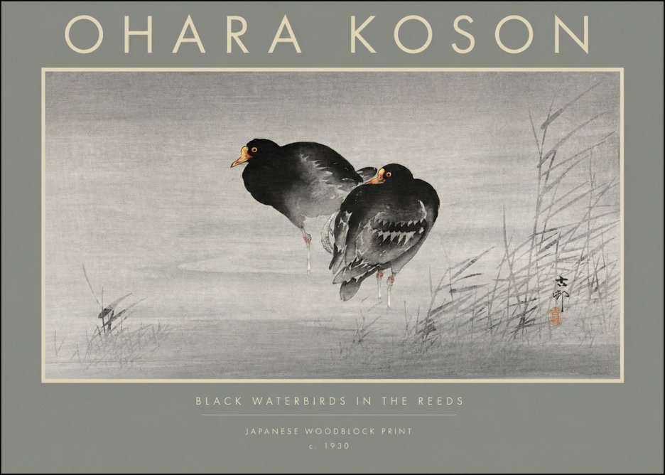 Ohara Koson Black Waterbirds in the Reeds No2 - Póster