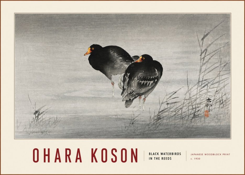 Ohara Koson Black Waterbirds in the Reeds No3 - Póster