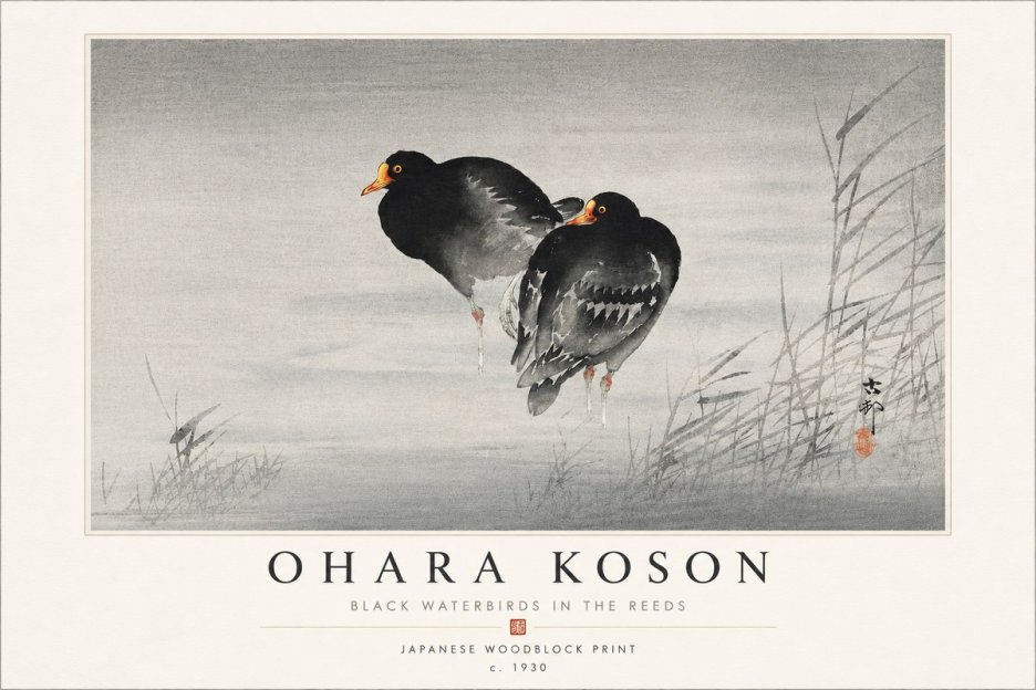 Ohara Koson Black Waterbirds in the Reeds No4 - Póster