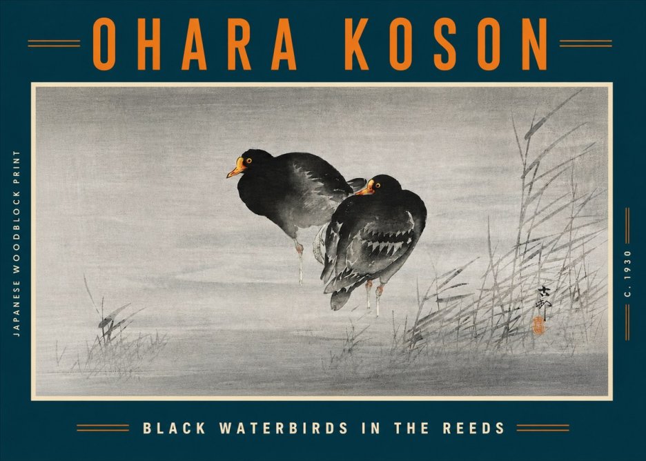 Ohara Koson Black Waterbirds in the Reeds No5 - Póster