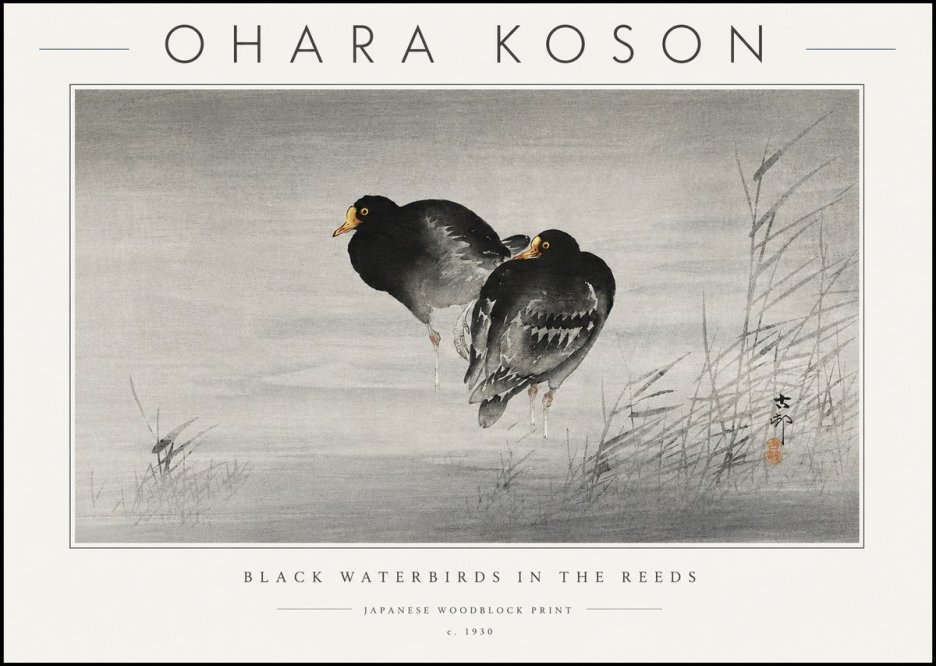 Ohara Koson Black Waterbirds in the Reeds No6 - Póster