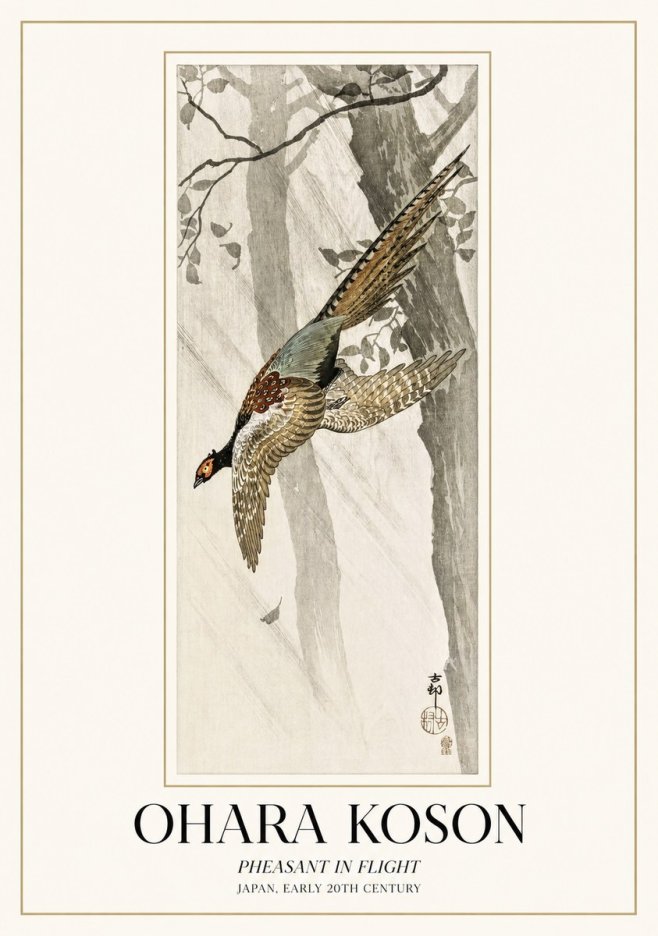 Ohara Koson Pheasant in Flight No1 - Póster