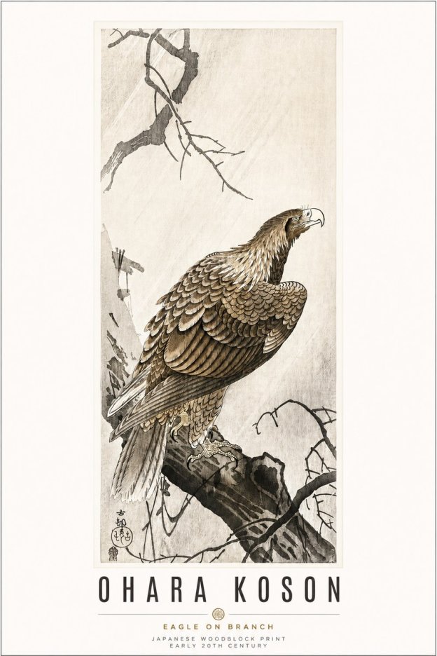 Ohara Koson Eagle on Branch No3 - Póster