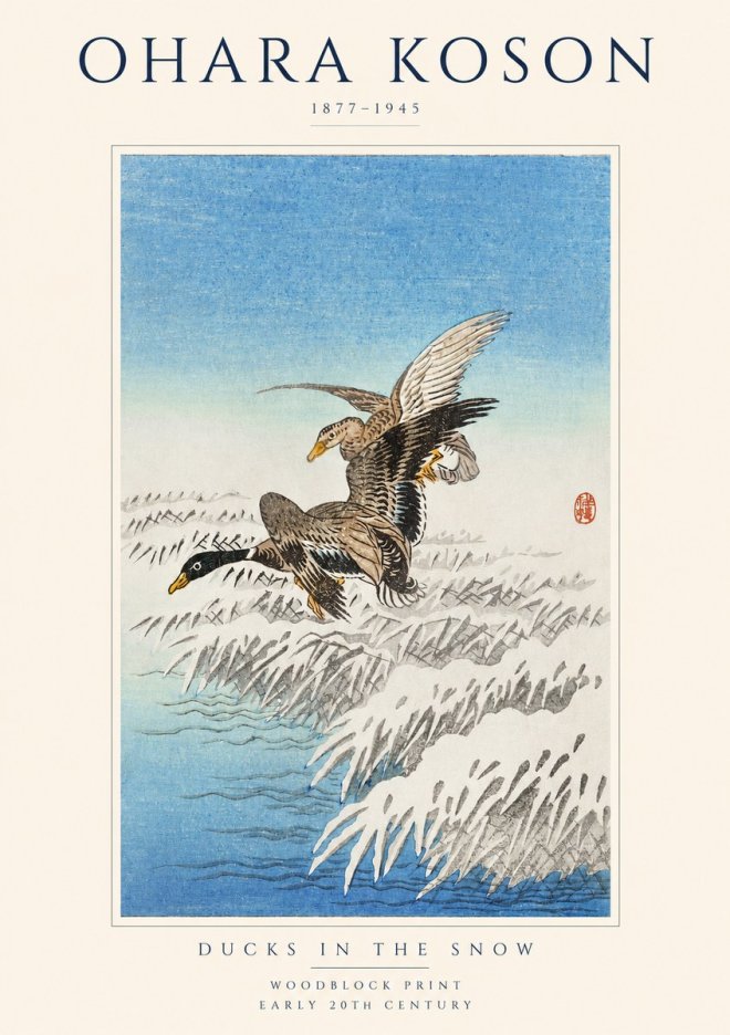 Ohara Koson Ducks in the Snow No1 - Póster