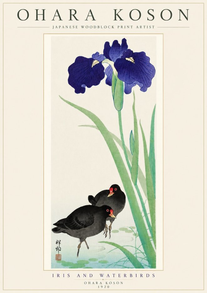 Ohara Koson Iris and Waterbirds No5 - Póster