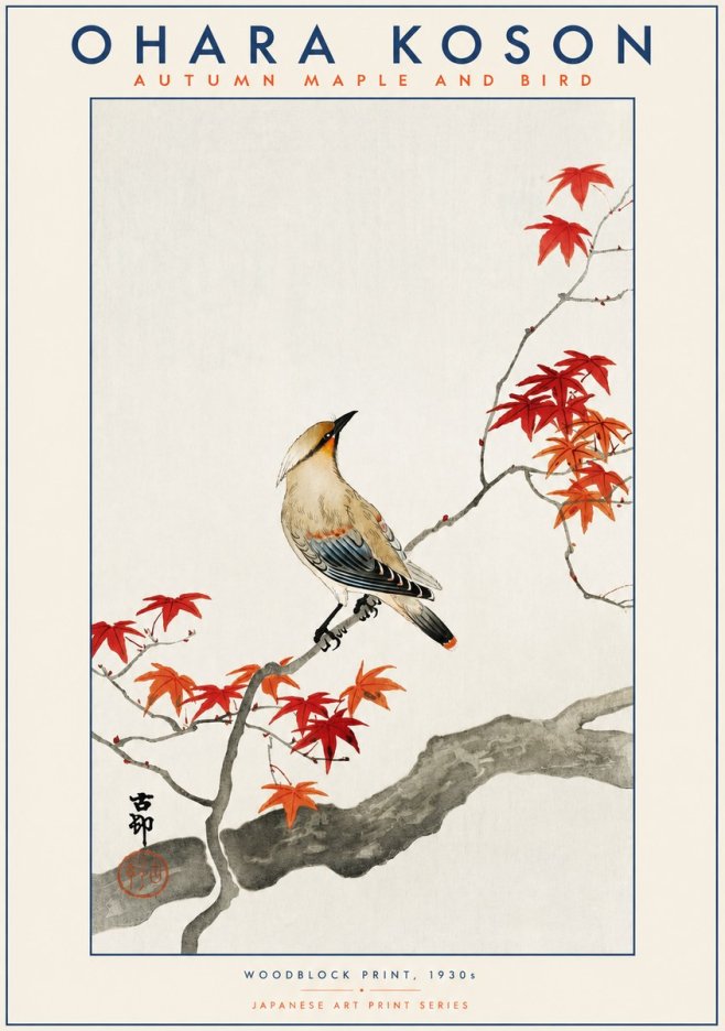 Ohara Koson Autumn Maple and Bird No2 - Póster