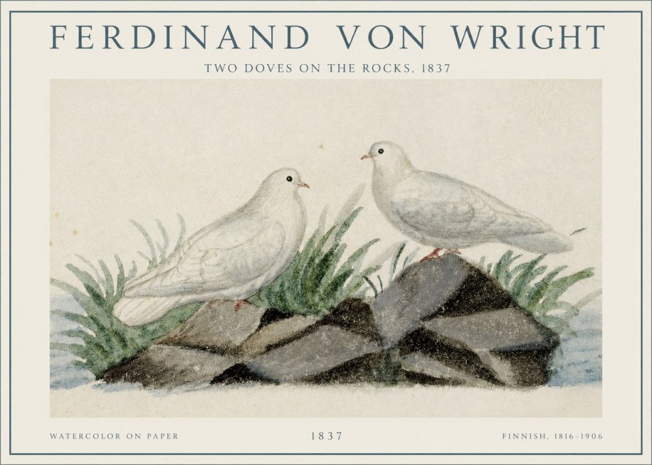 Ferdinand von Wright Two Doves on the Rocks, 1837 No1 - Póster