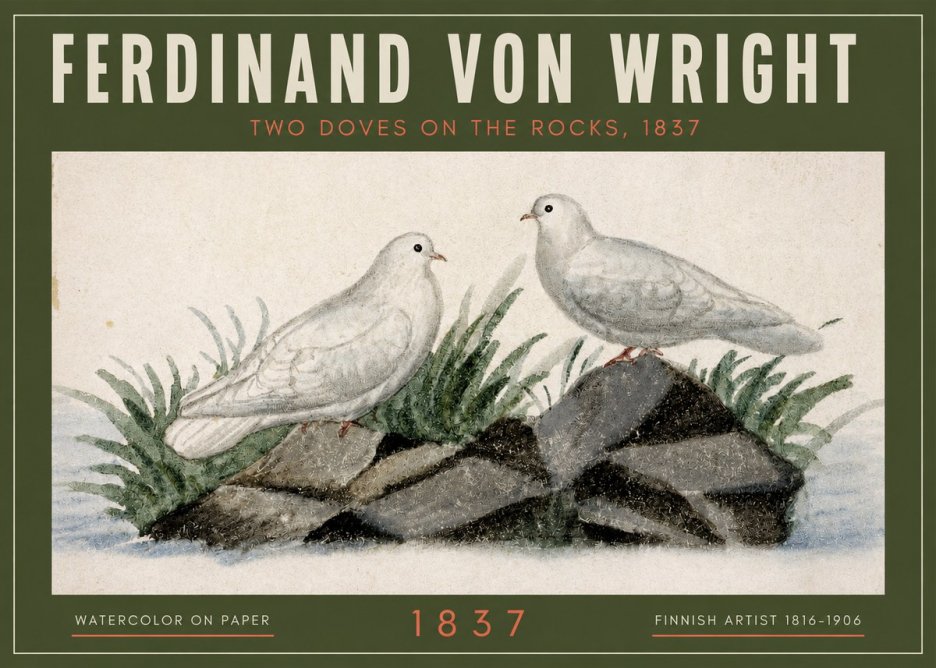 Ferdinand von Wright Two Doves on the Rocks, 1837 No2 - Póster