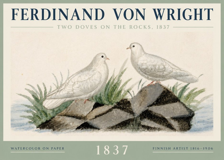 Ferdinand von Wright Two Doves on the Rocks, 1837 No3 - Póster