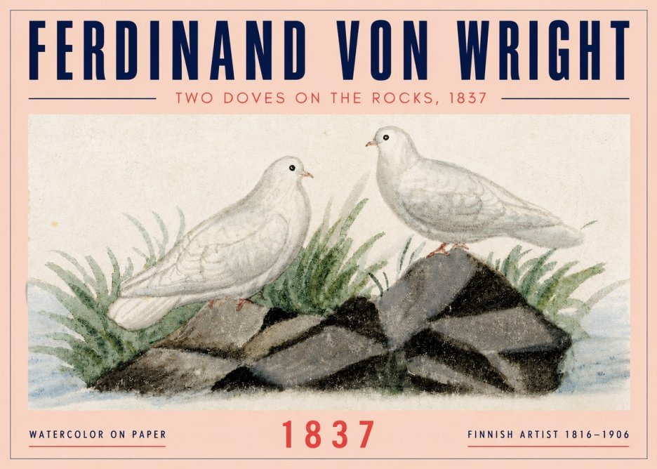 Ferdinand von Wright Two Doves on the Rocks, 1837 No4 - Póster