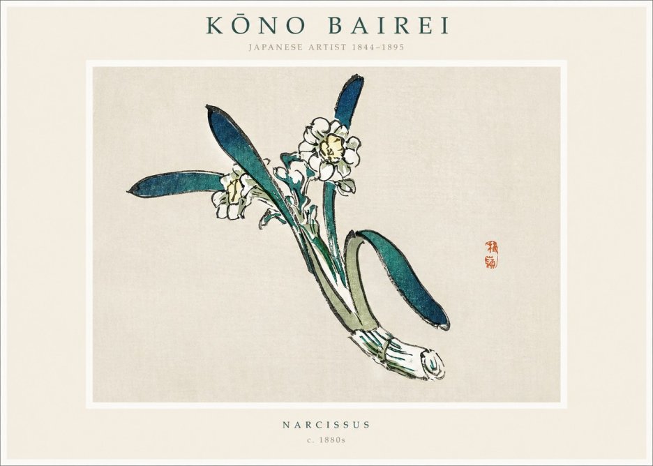 Kōno Bairei Narcissus No1 - Póster