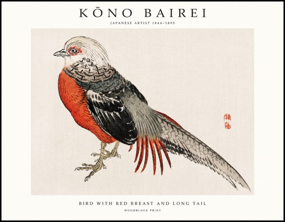 Kōno Bairei Bird with Red Breast and Long Tail No1 - Póster
