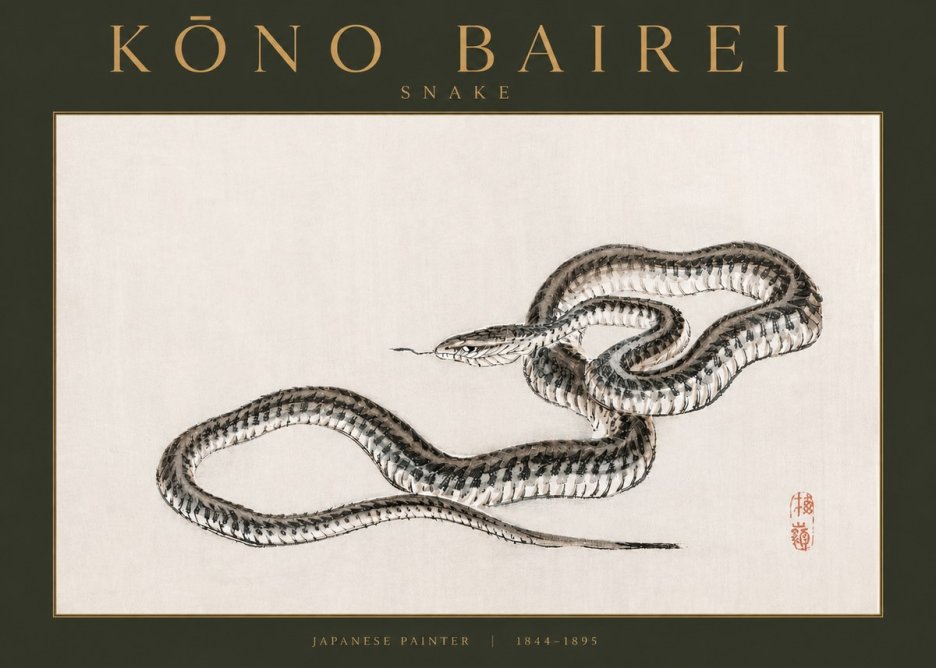Kōno Bairei Snake No3 - Póster
